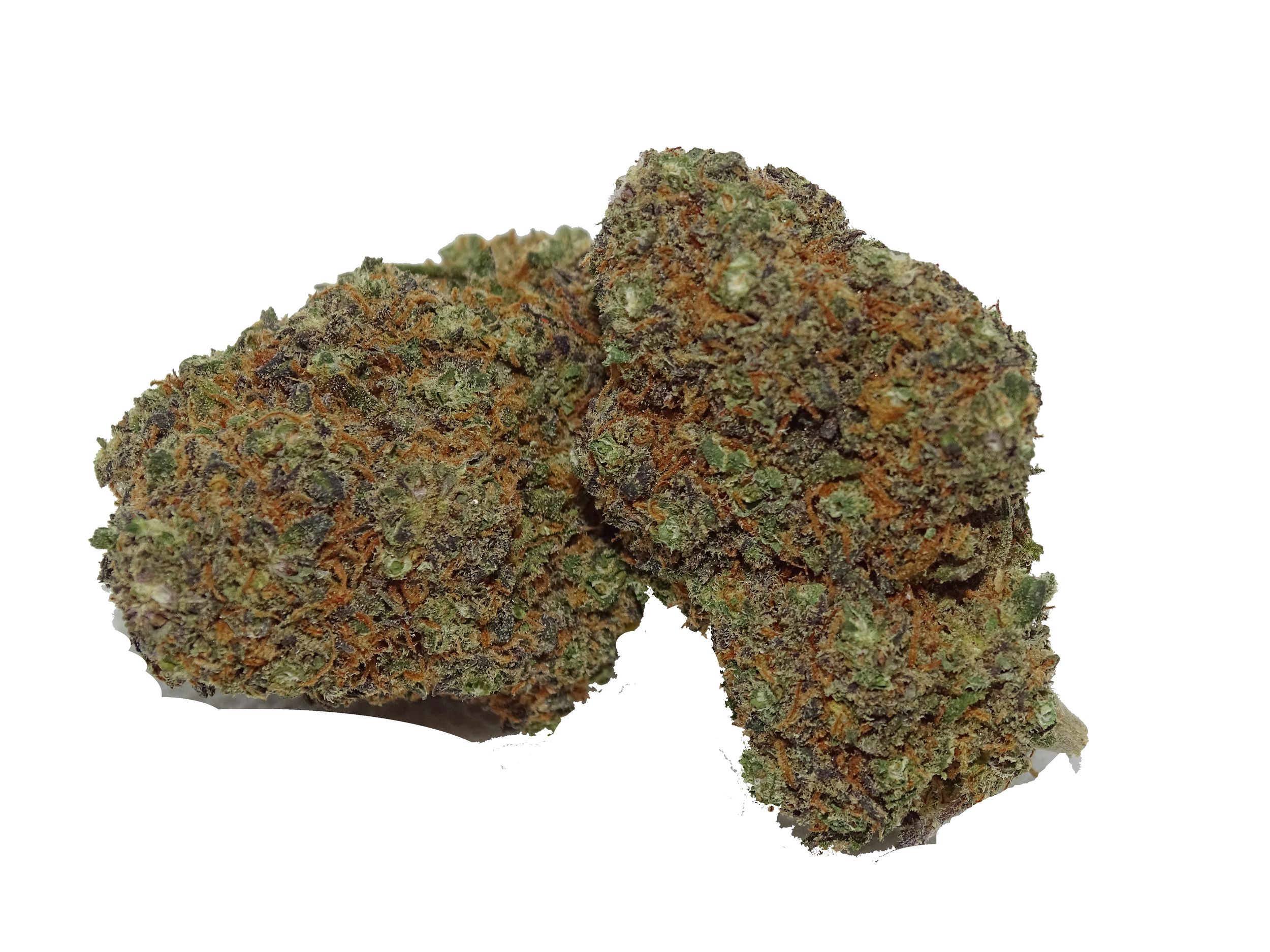 Jungle Dream cbd blueberry Hydro 11