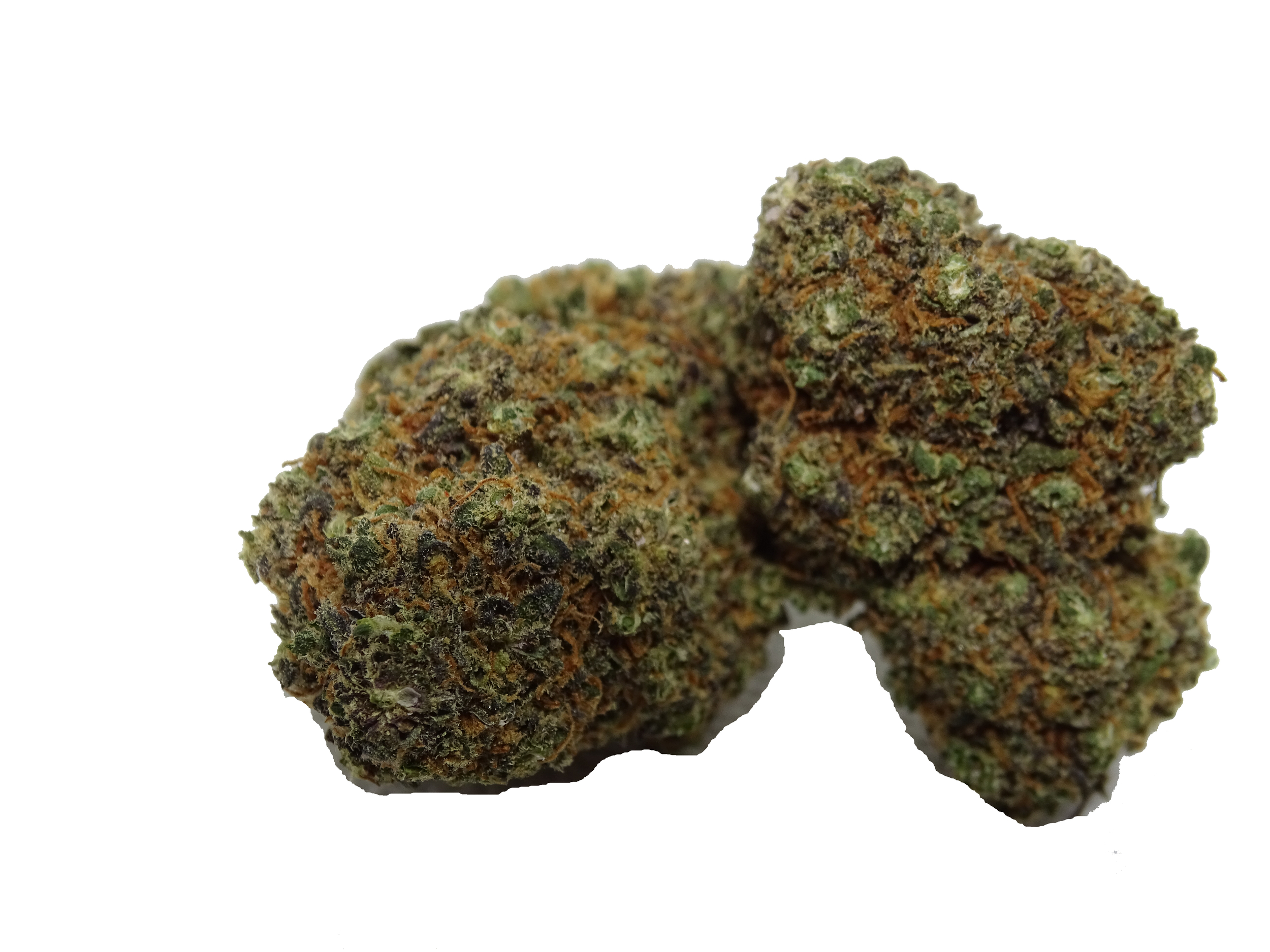 Jungle Dream cbd blueberry Hydro 3
