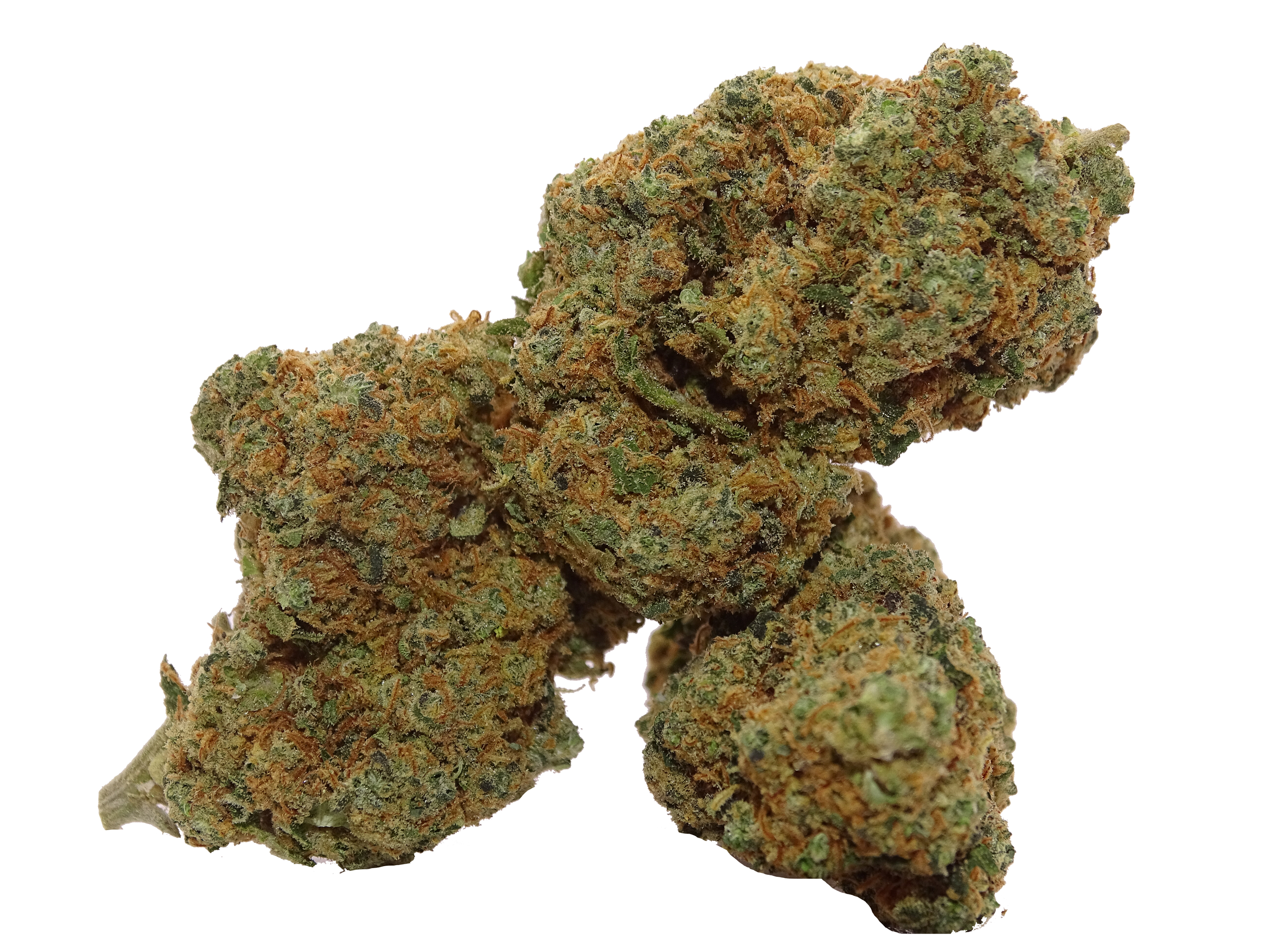 Fleurs cbd americaine , Banana Berry Hydro cbd , hhc , hhc-p , thc-o achat thc-v, fleurs thc-o jungle dream , thc-o france