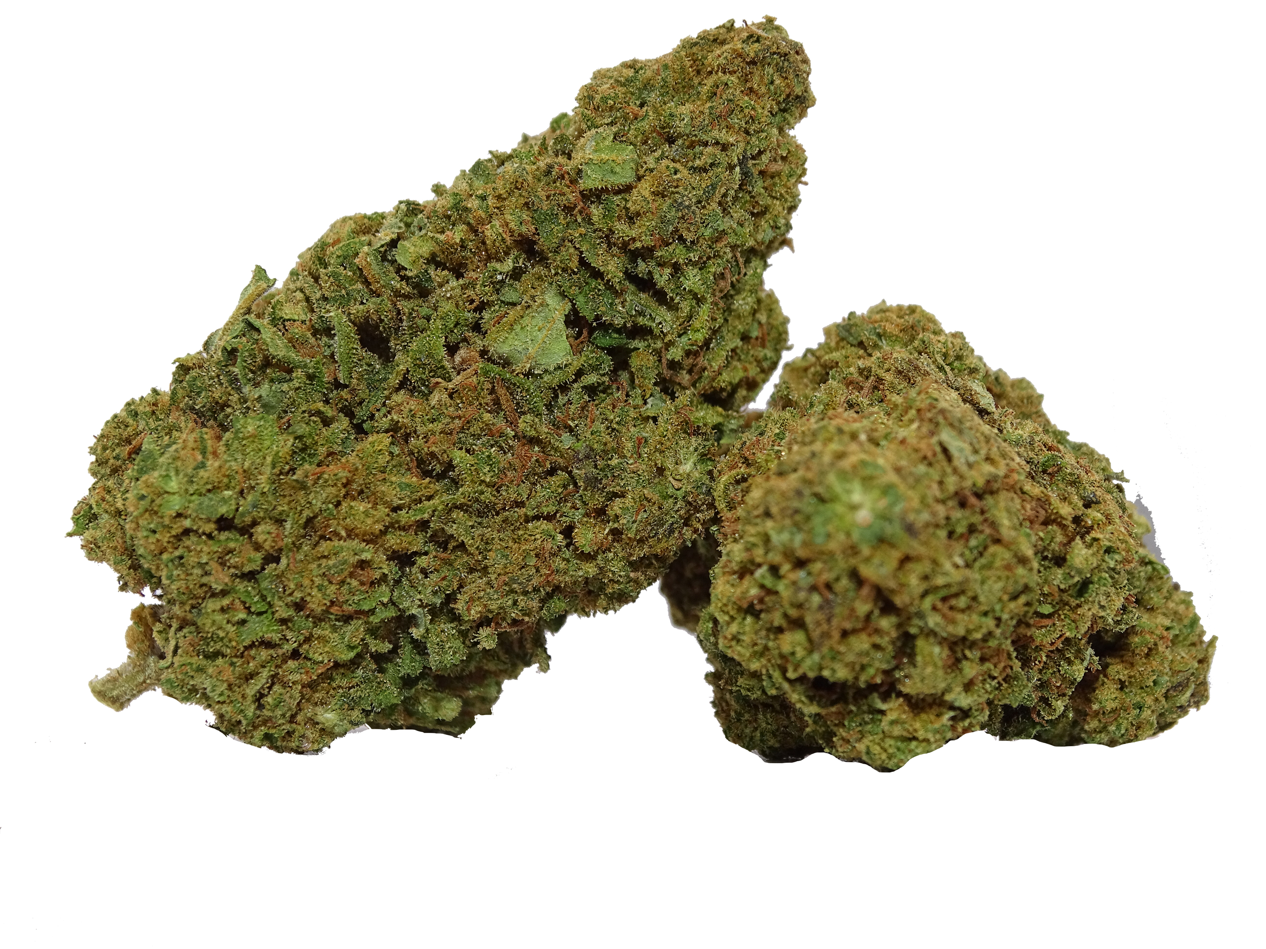 Bubble gum Suisse , Fleurs cbd suisse , hhc hhc-o hhc-p achat hhc-p fleurs thc-o france achat thc-o jungle dream