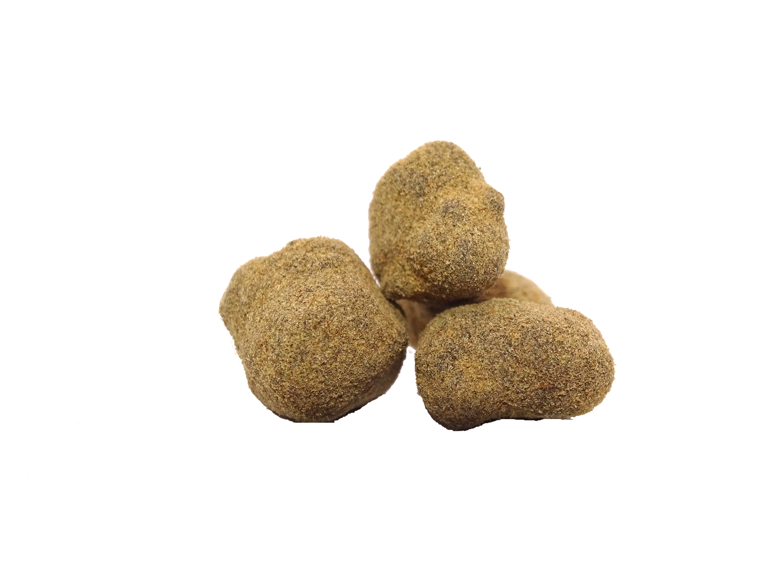 Crazy Rock - Nos Potions/NOS POTIONS - jungledream