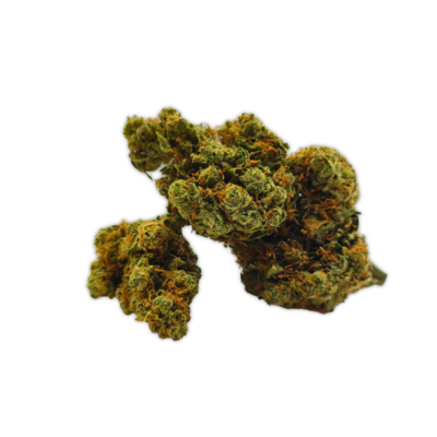 1 shop thcp shop thca shop thcv shop thc thcp 50 % jungle dream meilleur shop puff thc amnesia usa