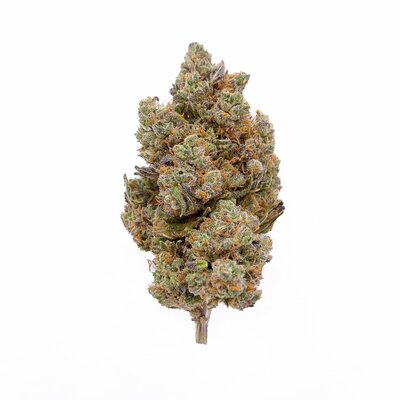 Blackberry-Kush-CBD-Indoor-Hydro