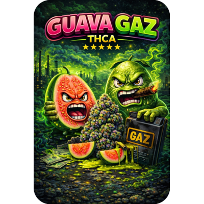 guava gaz thca premium AAAA+ - achat thca - shop thca - thca france