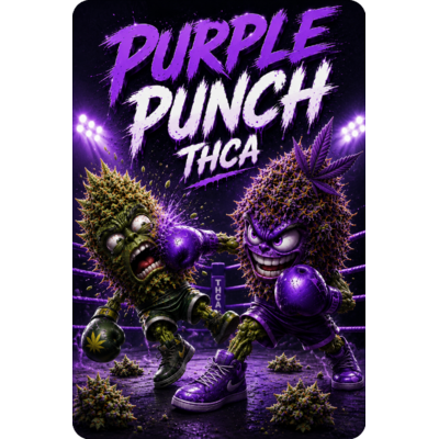 PURPLE PUNCH THCA - FLEURS THCA PREMIUM AAAA