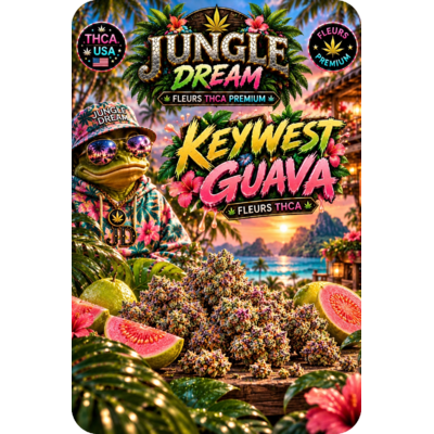 keywest-guava-thca-jungle-dream.jpg