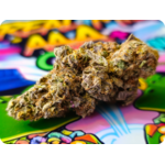thca-fleur-premium-cereal-milk-thca-fleur-thca-naturelle-cereal-milk-indoor-thca-import-californie-variete-thca-puissante-fleur-non-vaporisee-thca-jungle dream