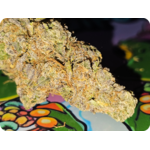 thca-fleur-premium-cereal-milk-thca-fleur-thca-naturelle-cereal-milk-indoor-thca-import-californie-variete-thca-puissante-fleur-non-vaporisee-thca.jungle dream best thca