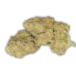 achat thca , fleurs thca , hash thca , jungle dream thca , france thca , thca californie, effet thca, blue lobster cbd