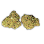 achat thca , fleurs thca , hash thca , jungle dream thca , france thca , thca californie,  thca