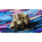 achat thca , thca france , cadillac rainbow thca jungle dream