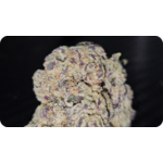 jungle dream achat thca , thca france