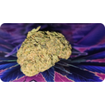 achat thca , thca france , jungle dream thca ,
