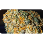 JET FUEL THCA THCA AAA THCA TOP SHELF GROSSISTE THCA WHOLESAL THCA