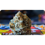 londond pound cake tcha , achat thca , thca france , jungle dream