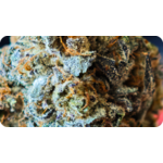 londond pound cake tcha , achat thca , thca france , jungle dream
