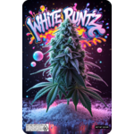 achat thca , white runtz thca californie