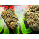 TIRAMISU X LONDON THCA 2 JUNGLE DREAM
