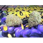 BANANA RUNTZ THCA JUNGLE DREAM