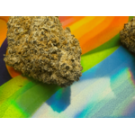 fleurs GELATO 41 jungle dream thca - thca france - thca non vaporisé - cali thca - thca usa -min