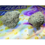 PURPLECREAM3GRPURPLECREAM3GR22