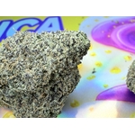 PURPLECREAM3GR11