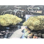 ACHAT THCA - ACHAT THCA AAAA - ACHAT THCA NATUREL - ACHAT THCA US - ACHAT THCA CALIFORNIE