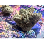 achat thca france - thca non vaporise -shop thca