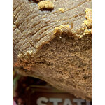 mnago hash thca - thca naturel - thca us - thca premium quality - achat thca
