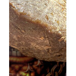 pina colada thca - thca premium - hash thca - import cali - thca naturel -