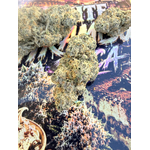 ACHAT THCA - THCA FRANCE - SHOP THCA - THCA NATUREL - SHOP THCA (2)