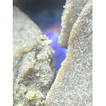 ACHAT THCA NATUREL THCA FRANCE SHOP  THCA FRANCE