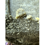 ACHAT THCA SHOP THCA - THCA FRANCE - THCA NATUREL