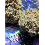 purple punch small buds thca non vaporise
