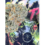 fleurs thca premium AAAA+