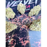 red velvet thca naturel - achat thca