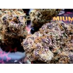 ACHAT THCA NATUREL - PREMIUM AAAA+ - THCA US (2)