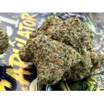 mac1-capulator-thca-2.jpg