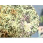 black-zushi-original-z-kush-mints-genetique.jpg