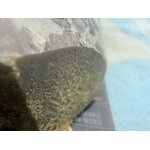 achat thca - jungle dream thca