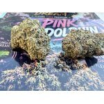 pink dolphin thca