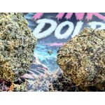 pink dolphin thca - jungle dream