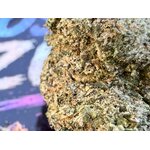 shop thca jungle dream