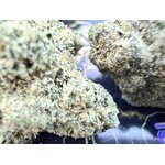 thca usa non vaporise