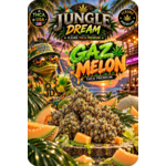 gaz-melon-thca-jungle-dream.jpg