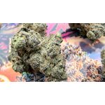 ZANG BANGER THCA PEMIUM