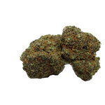 Jungle Dream cbd blueberry Hydro 3
