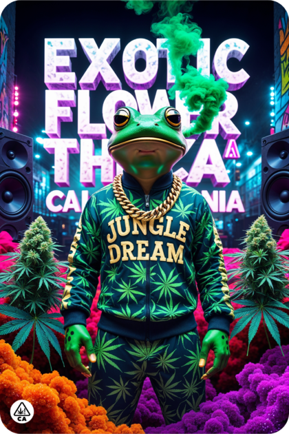 achat thca , EXOTIC FLOWER THCA, jungle dream thca