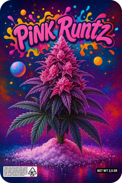 PINK RUNTZ THCA FLEURS JUNGLE DREAMS
