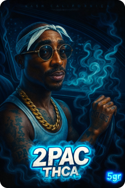 2PAC 5gr pochonGELATO 33 10gr paurple 10gr Gelato 3,5gr ACHETER THCA, ACHAT THCA, THCA, THCA, ACHAT THCA, SHOP THCA, AVIS THCA, IMPORT USA THCA, THCA USA, PREMIUM THCA, THCA TOP SHELF, THCA USA PREMIUM, ACHAT THCA USA , THCA PREMIUM ACHAT,22THCA.png